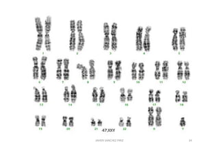 JAVIER SANCHEZ PIRIZ   34
 