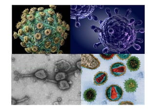 JAVIER SANCHEZ PIRIZ   36
 