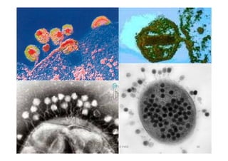 JAVIER SANCHEZ PIRIZ   38
 