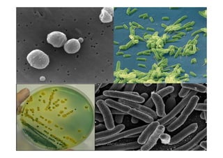 JAVIER SANCHEZ PIRIZ   6
 