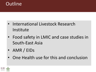 Food safety and antimicrobial resistance research:  a One Health perspective