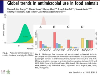 Food safety and antimicrobial resistance research:  a One Health perspective