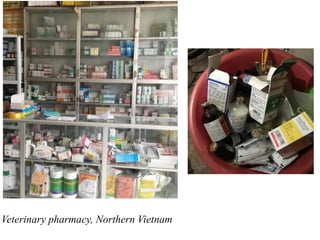 Food safety and antimicrobial resistance research:  a One Health perspective