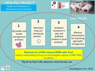 Food safety and antimicrobial resistance research:  a One Health perspective