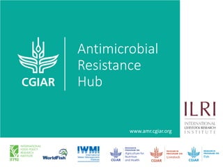 Food safety and antimicrobial resistance research:  a One Health perspective