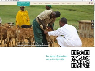 Food safety and antimicrobial resistance research:  a One Health perspective