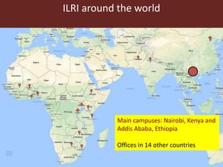 Food safety and antimicrobial resistance research:  a One Health perspective