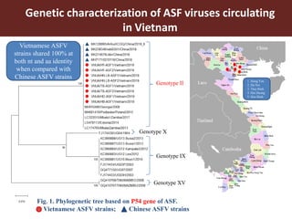 Food safety and antimicrobial resistance research:  a One Health perspective