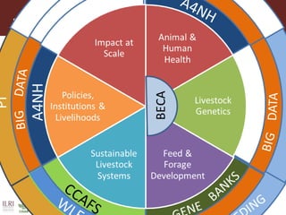 Food safety and antimicrobial resistance research:  a One Health perspective