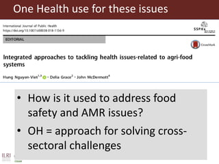 Food safety and antimicrobial resistance research:  a One Health perspective