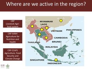 Food safety and antimicrobial resistance research:  a One Health perspective