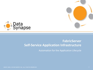 On-Demand Application Infrastructure for Developers, Centralized Control for IT Operations and Management Self-Service Application Infrastructure 