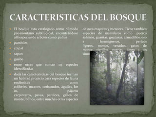 El bosque esta catalogado como húmedo pre-montano subtropical, encontrándose allí especies de arboles como: palma pambilescolpalsapanguaboentre otras que suman 113 especies identificadasdada las características del bosque forman un habitad propicio para especies de fauna endémicas como colibríes, tucanes, corbatudos, águilas, loros, pájaros carpinteros, pavas, perdices, gallos de monte, búhos, entre muchas otras especies de aves mayores y menores. Tiene también especies de mamíferos como: puerco sahinos, guantas, guatusas, armadillos, osos hormigueros, pericos ligeros, monos, venados, gatos de monte, tigrillos, nutrias, junto a un sinnúmero de reptiles e insectosCARACTERISTICAS DEL BOSQUE