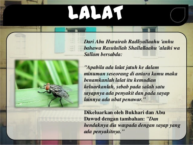 Kesan Sampingan Ubat Aspirin - Contoh Kat Kesan Sampingan Ubat Aspirin - Contoh Kat