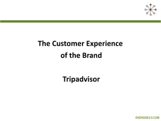 The Customer Experience  of the Brand Tripadvisor 