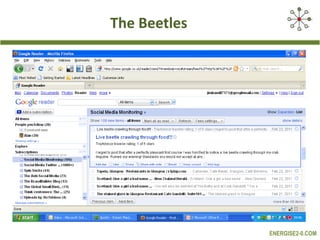 The Beetles 