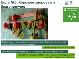 34
Цель №3. Хорошее здоровье и
благополучие
Гарантия безопасности как в местах лесозаготовки, так и на производстве
Ограничение применения пестицидов
Леса обеспечивают разнообразной фармацевтической продукцией и
средствами традиционной медицины
Поддержка и улучшение социально-экономического благополучия работников
лесного хозяйства и местного населения
 