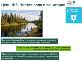 37
Цель №6. Чистая вода и санитария
Компании обязаны избегать негативного влияния на качество и
количество воды, уменьшая и исправляя уже оказанное
Защита и восстановление естественных водотоков, водоемов,
прибрежных зон и связанных с ними систем
Обучение работников лесного хозяйства, в том числе, в области
маневрирования техникой, управления отходами и строительства
лесных дорог.
 