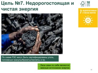 38
Цель №7. Недорогостоящая и
чистая энергия
По схеме FSC могут быть сертифицированы уголь,
топливные гранулы/брикеты/пеллеты и пр.
Леса сами по себе являются
важным источником энергии
 