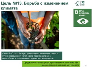 42
Цель №13. Борьба с изменением
климата
Схема FSC способствует уменьшению изменения климата
путем продвижения устойчивого лесоуправления и
переработки использованных древесных материалов
Среди экосистемных услуг, признаваемых в системе FSC,
– депонирование (связывание) углерода
 