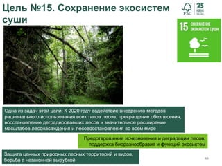 44
Цель №15. Сохранение экосистем
суши
Предотвращение исчезновения и деградации лесов,
поддержка биоразнообразия и функций экосистем
Защита ценных природных лесных территорий и видов,
борьба с незаконной вырубкой
Одна из задач этой цели: К 2020 году содействие внедрению методов
рационального использования всех типов лесов, прекращение обезлесения,
восстановление деградировавших лесов и значительное расширение
масштабов лесонасаждения и лесовосстановления во всем мире
 