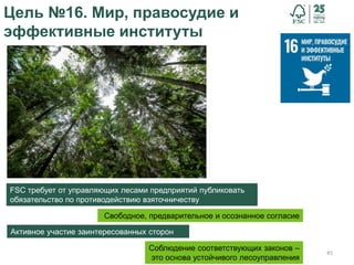 45
Цель №16. Мир, правосудие и
эффективные институты
Соблюдение соответствующих законов –
это основа устойчивого лесоуправления
Свободное, предварительное и осознанное согласие
FSC требует от управляющих лесами предприятий публиковать
обязательство по противодействию взяточничеству
Активное участие заинтересованных сторон
 