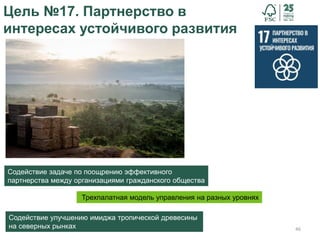 46
Цель №17. Партнерство в
интересах устойчивого развития
Содействие улучшению имиджа тропической древесины
на северных рынках
Содействие задаче по поощрению эффективного
партнерства между организациями гражданского общества
Трехпалатная модель управления на разных уровнях
 