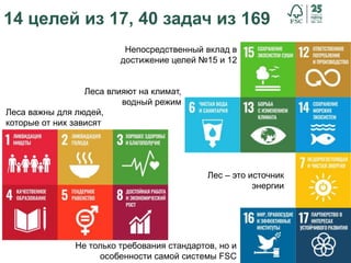 47
14 целей из 17, 40 задач из 169
Непосредственный вклад в
достижение целей №15 и 12
Не только требования стандартов, но и
особенности самой системы FSC
Леса влияют на климат,
водный режим
Лес – это источник
энергии
Леса важны для людей,
которые от них зависят
 