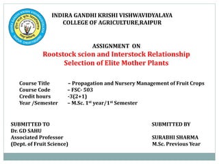 INDIRA GANDHI KRISHI VISHWAVIDYALAYA
COLLEGE OF AGRICULTURE,RAIPUR
ASSIGNMENT ON
Rootstock scion and Interstock Relationship
Selection of Elite Mother Plants
SUBMITTED TO SUBMITTED BY
Dr. GD SAHU
Associated Professor SURABHI SHARMA
(Dept. of Fruit Science) M.Sc. Previous Year
Course Title – Propagation and Nursery Management of Fruit Crops
Course Code – FSC- 503
Credit hours -3(2+1)
Year /Semester – M.Sc. 1st year/1st Semester
 