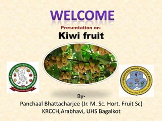 By-
Panchaal Bhattacharjee (Jr. M. Sc. Hort. Fruit Sc)
KRCCH,Arabhavi, UHS Bagalkot
Presentation on-
Kiwi fruit
 