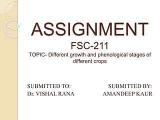 ASSIGNMENT
FSC-211
TOPIC- Different growth and phenological stages of
different crops
SUBMITTED TO: SUBMITTED BY:
Dr. VISHAL RANA AMANDEEP KAUR
 