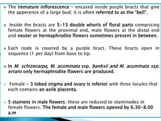 Physiology of flowering and fruiting of important fruit crops | PPTX