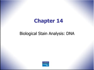 Chapter 14 Biological Stain Analysis: DNA 