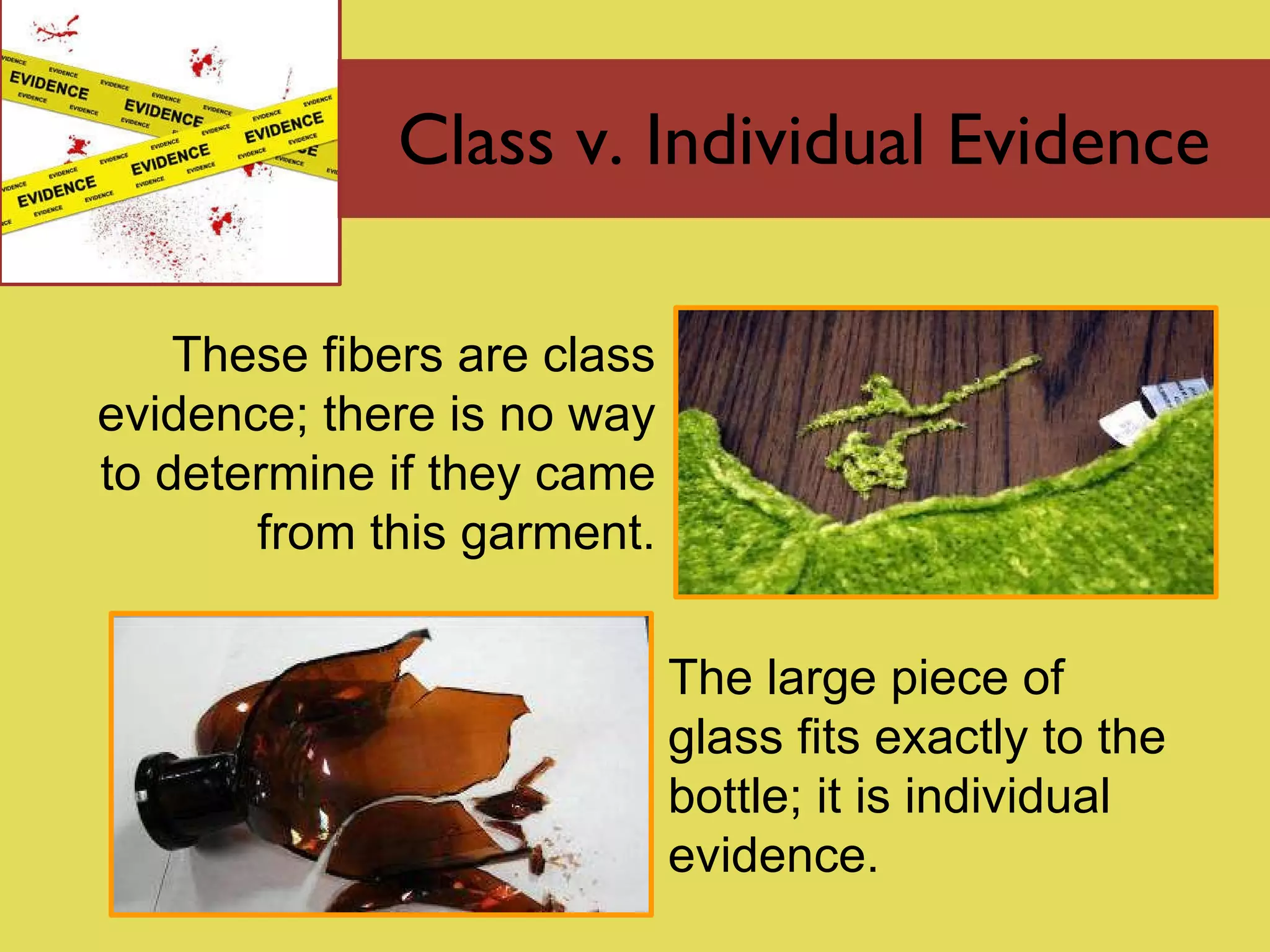 Class v. Individual Evidence The large piece of glass fits exactly to the bottle ;  it is individual evidence. These fibers are class evidence ;  there is no way to determine if they came from this garment. 