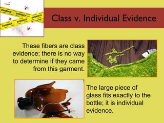 Class v. Individual Evidence The large piece of glass fits exactly to the bottle ;  it is individual evidence. These fibers are class evidence ;  there is no way to determine if they came from this garment. 