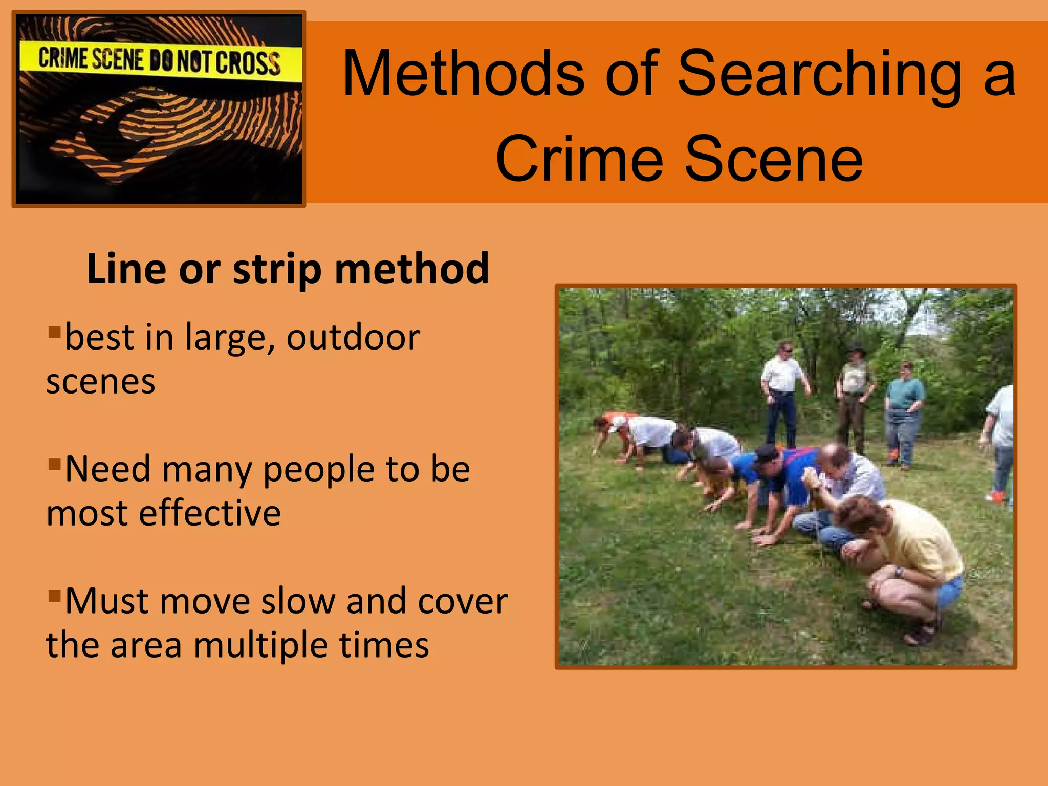 Methods of Searching a Crime Scene Line or strip method best in large, outdoor  scenes Need many people to be most effective Must move slow and cover the area multiple times 