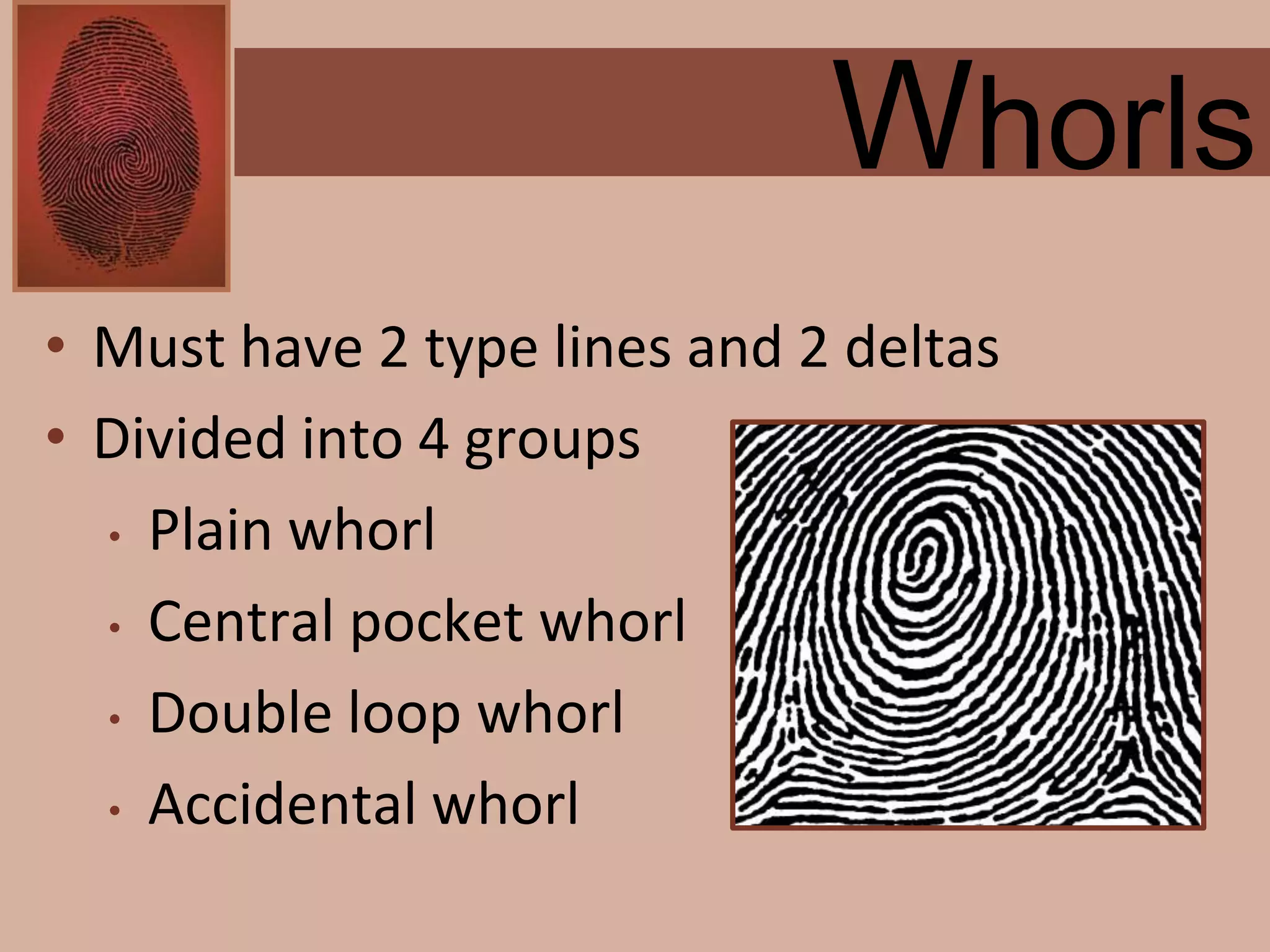 Forensics ch 4 notes