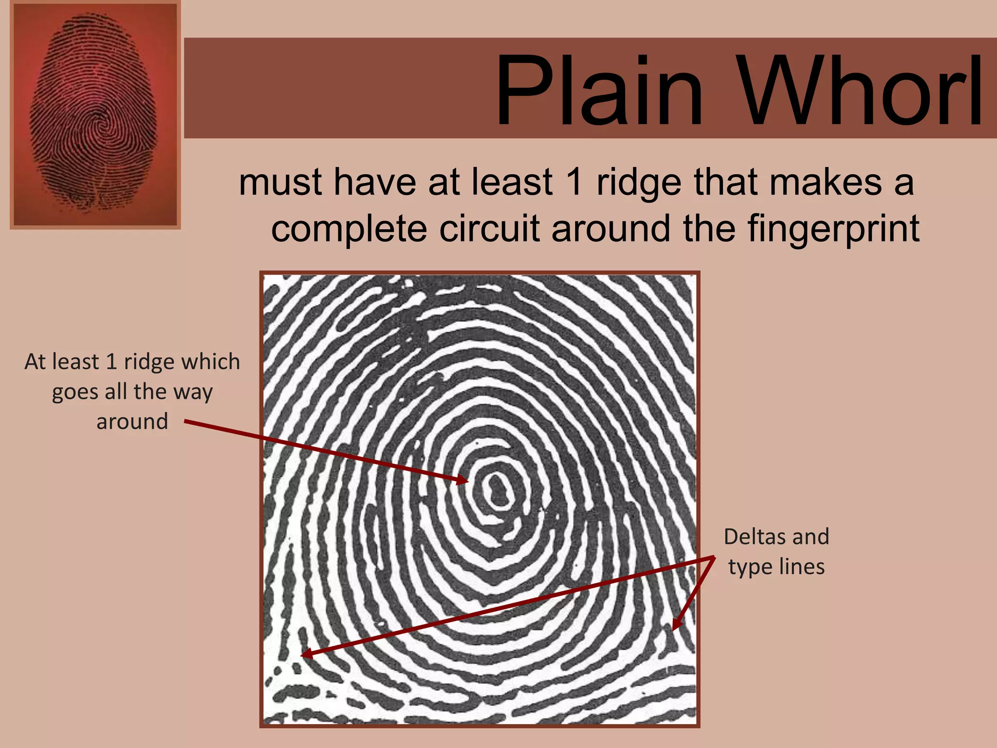 Forensics ch 4 notes