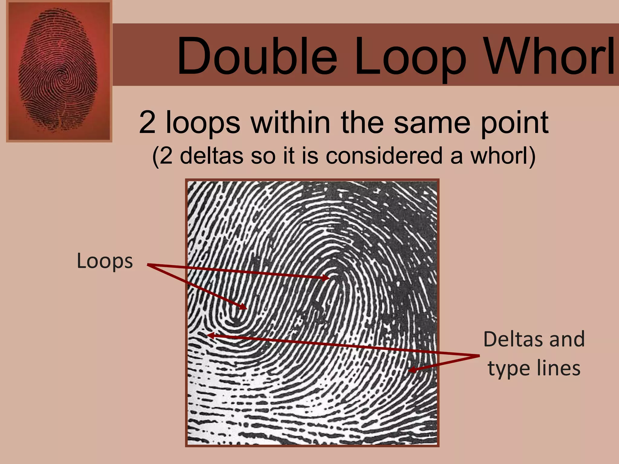 Forensics ch 4 notes