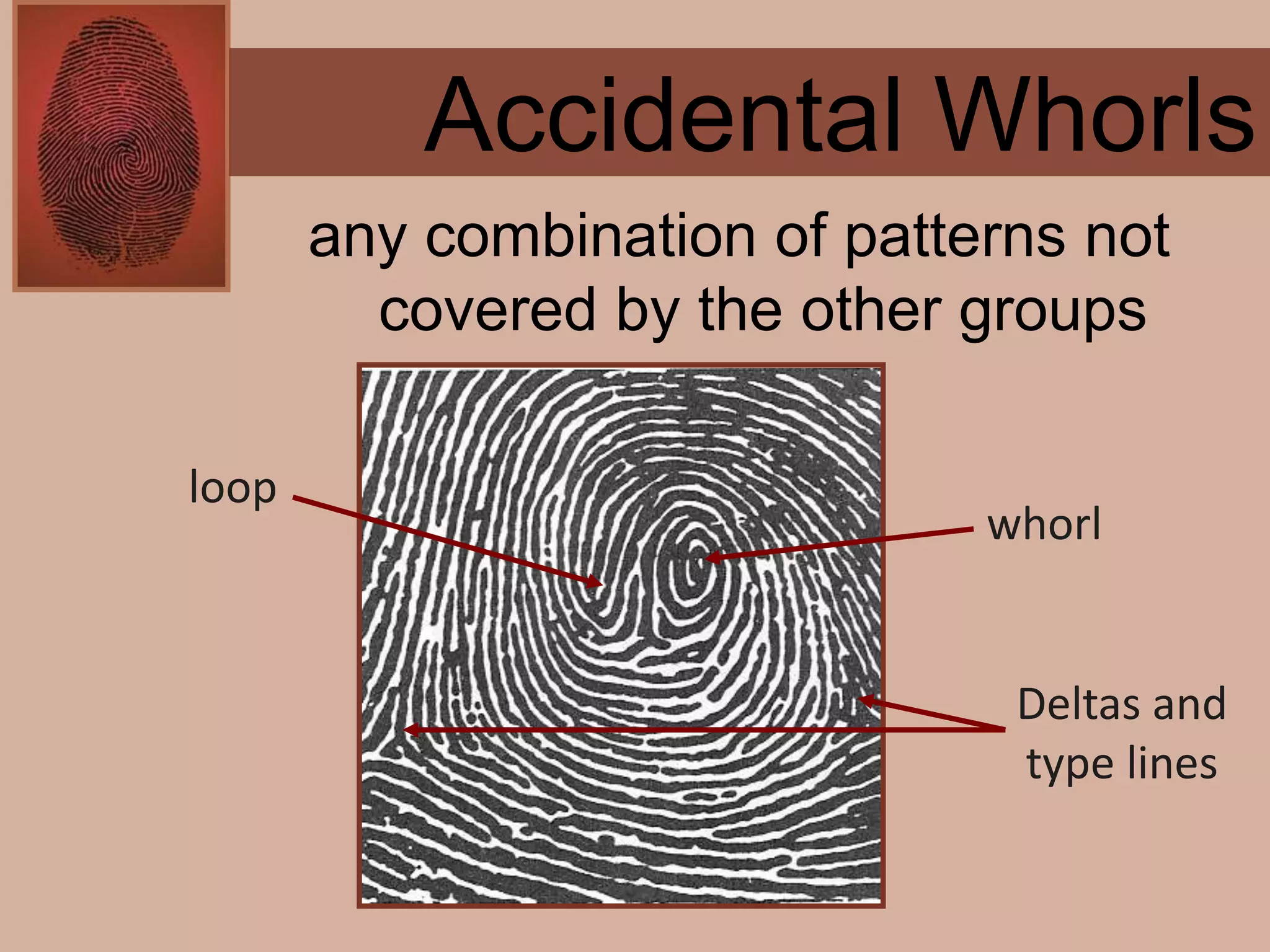 Forensics ch 4 notes