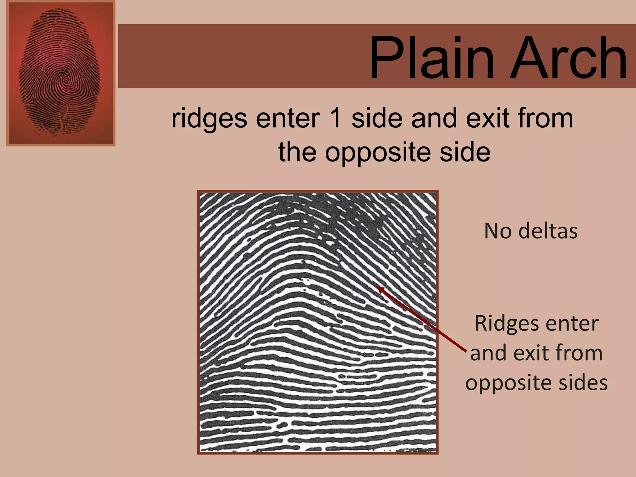 Forensics ch 4 notes