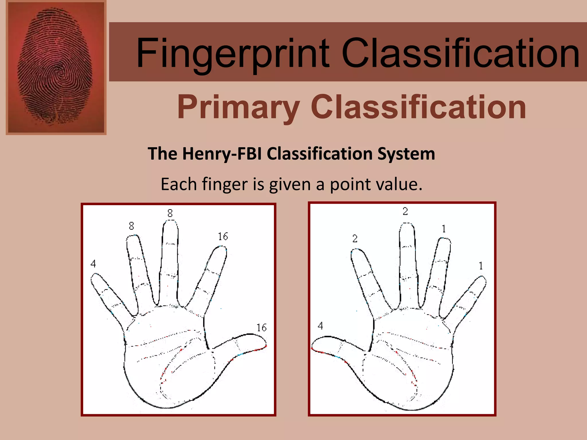 Forensics ch 4 notes