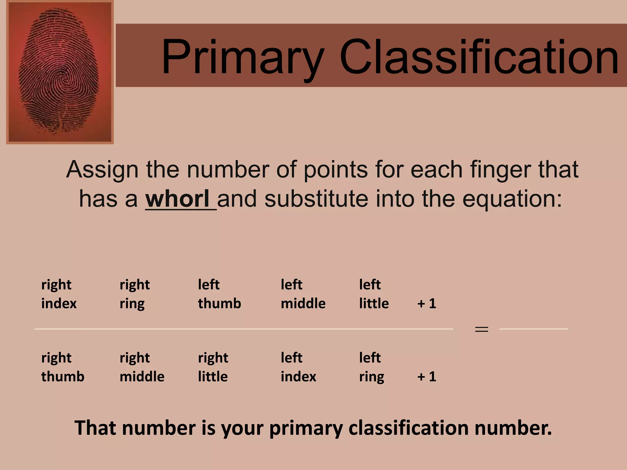 Forensics ch 4 notes