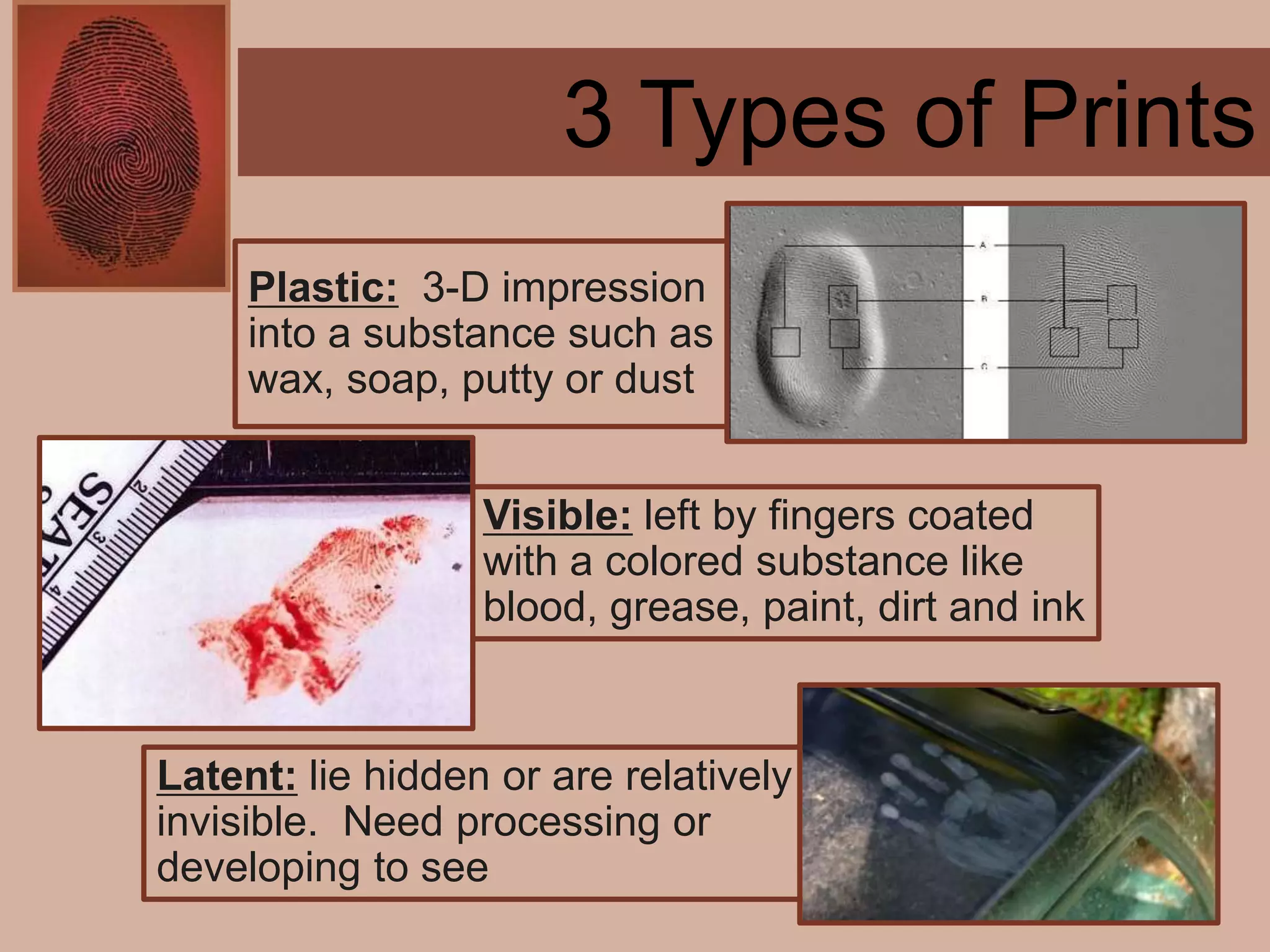 Forensics ch 4 notes