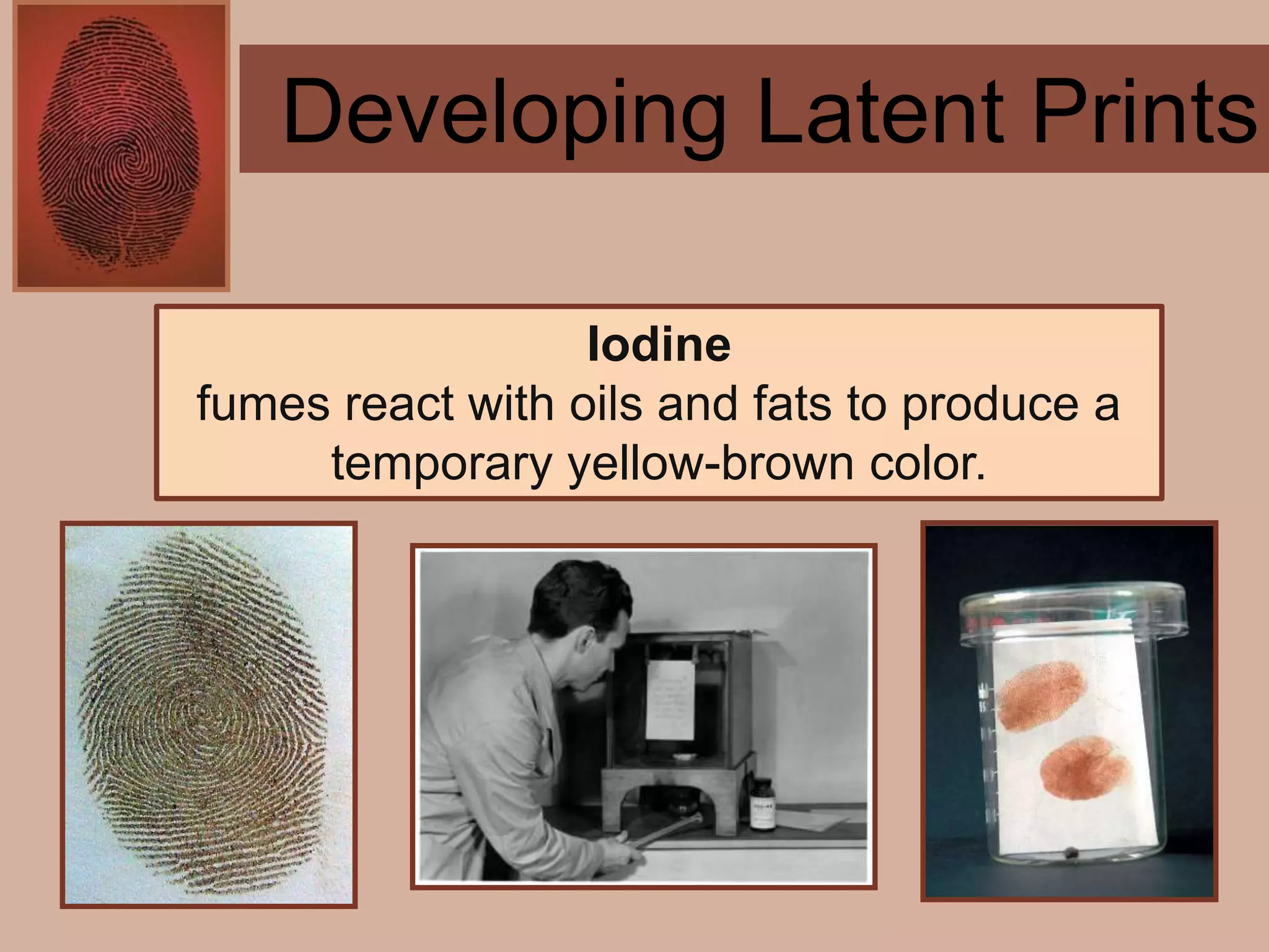 Forensics ch 4 notes