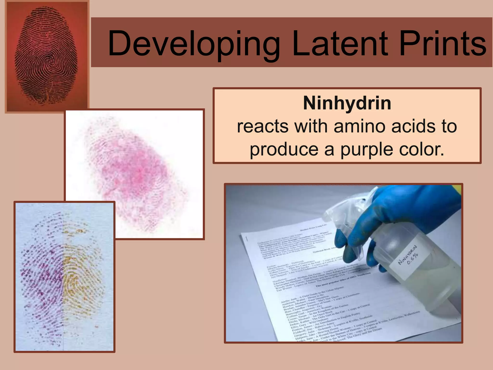 Forensics ch 4 notes