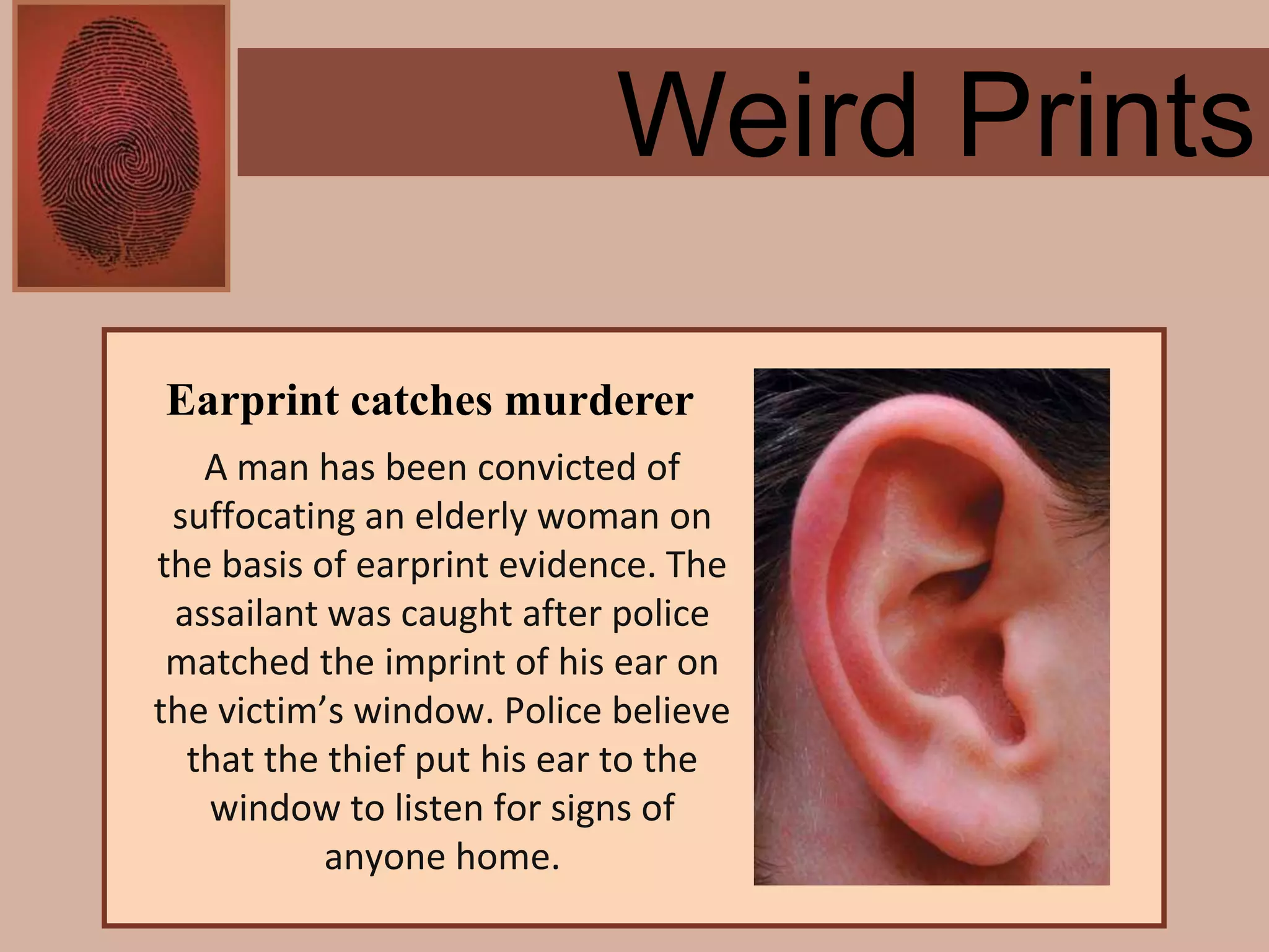 Forensics ch 4 notes