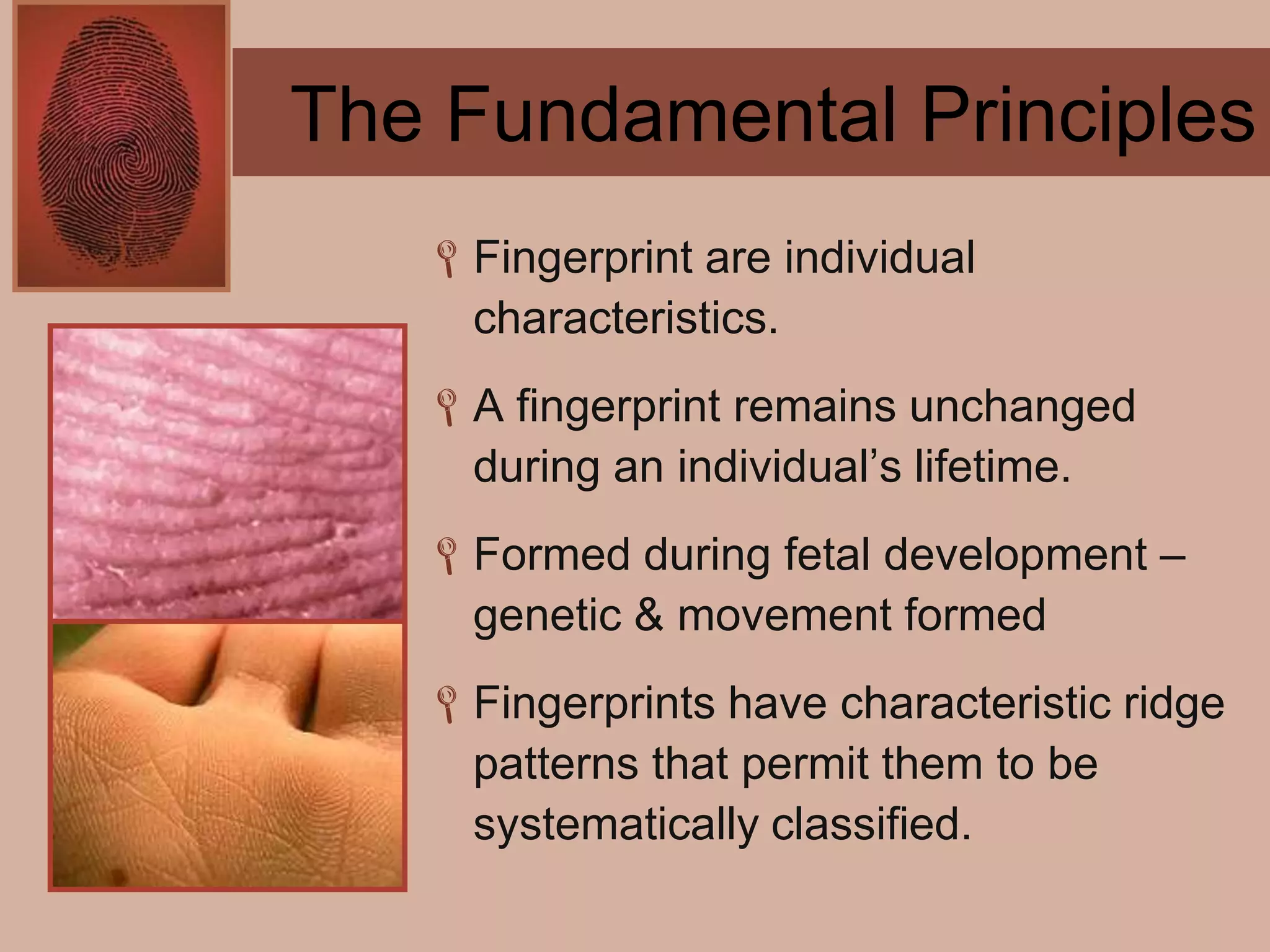 Forensics ch 4 notes
