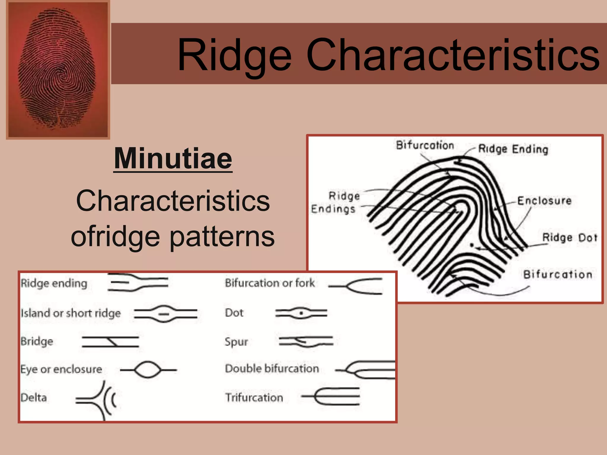 Forensics ch 4 notes