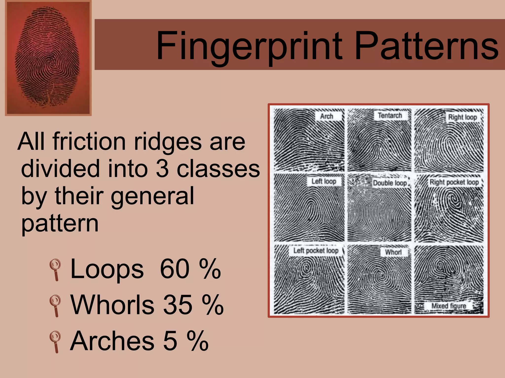 Forensics ch 4 notes